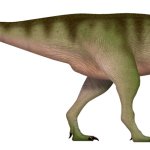 Meraxes