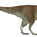Sinotyrannus