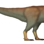 Nanuqsaurus