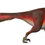 Achillobator