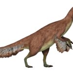 Alxasaurus