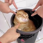 Fingers pointed at cat