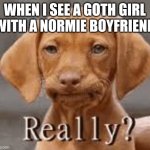 What you got in common with a normie? | When I see a goth girl with a normie boyfriend | image tagged in really dachschund,memes,goth memes | made w/ Imgflip meme maker