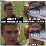 Anakin Padme Meme | its silver and shimmery like I am, right? we have a color named after you; right? | image tagged in anakin padme meme | made w/ Imgflip meme maker
