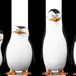 Penguins Madagascar