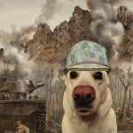 Thousand Yard Stare (No Soldier) | image tagged in thousand yard stare no soldier | made w/ Imgflip meme maker