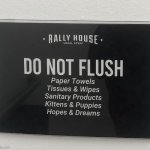 Kittens and puppies?!? | image tagged in flush rally house down the toilet | made w/ Imgflip meme maker