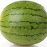 watermelon template