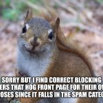 Here. Have a squirrel. | Sorry but I find correct blocking users that hog front page for their own purposes since it falls in the spam category. | image tagged in sorry not sorry squirrel | made w/ Imgflip meme maker