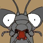 CURSED SHOCKED MANTIS GRAY
