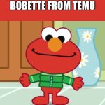 Bobette from TEMU | Bobette From TEMU | image tagged in temu,bobette,funny,memes | made w/ Imgflip meme maker