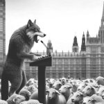 Wolf politicians