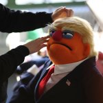 Trump Muppet meme
