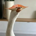 goose crab