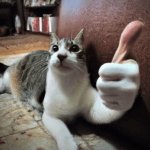 Cat Thumbs Up