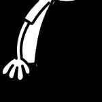 Greg