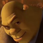 Shrek meme