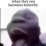 IS THAT THE GRIM REAPER?! | Literally every Kirby character when they one harmless butterfly: | image tagged in for the love of god another guy screaming,memes,funny,kirby | made w/ Imgflip meme maker