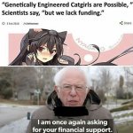 Bernie catgirls meme