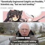 Best investment of 2026? | Discord users | image tagged in bernie catgirls | made w/ Imgflip meme maker