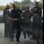 Tiny man picked up by police