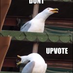 anti-upvote begging | pls; dont; upvote; this meme | image tagged in memes,inhaling seagull,not upvote begging,funny,dont uovote | made w/ Imgflip meme maker