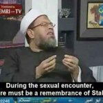 Memri Stalin