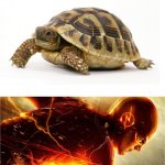 True | How slow the first week of summer break is; how fast the rest of summer break is | image tagged in slow vs fast meme,summer vacation,school,why are you reading the tags,stop reading the tags,front page plz | made w/ Imgflip meme maker