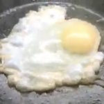 Fox brain