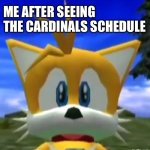 I’m sad | Me after seeing the Cardinals Schedule | image tagged in dreamcast tails,nfl,funny,memes,relatable,football | made w/ Imgflip meme maker