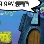 BIG GAY elephant