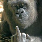 Finger