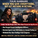 Tulsi Gabbard meme