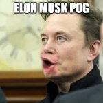 Elon Musk Pog | elon musk pog | image tagged in elon musk pog 2 | made w/ Imgflip meme maker