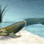 Tiktaalik