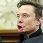 Elon Musk Pog 5 meme