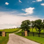 Long driveway