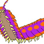Male Arthropleura (Paleoverse + EOIverse)