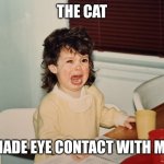 Irrational toddler | The cat; Made eye contact with me | image tagged in tantrum carolyn | made w/ Imgflip meme maker
