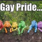 Gay Pride of Lions