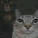 behind me