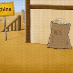 Sack of Rice in China template