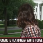 Reporter at the White House