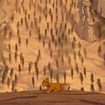 Lion King buffalos