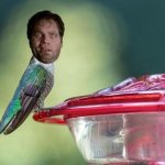 Sugar water Men in Black alien bird
