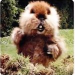 Gopher dancing Caddyshack
