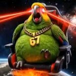 67 Pigeon