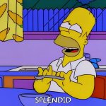 Homer splendid