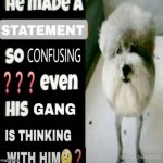 he made a statement so confusing even his gang is thinking w him