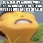 I hate this feeling | How it feels walking with the leg you have been sitting on for so long and it fell asleep | image tagged in oh my god bee movie meme template,foot,asleep | made w/ Imgflip meme maker